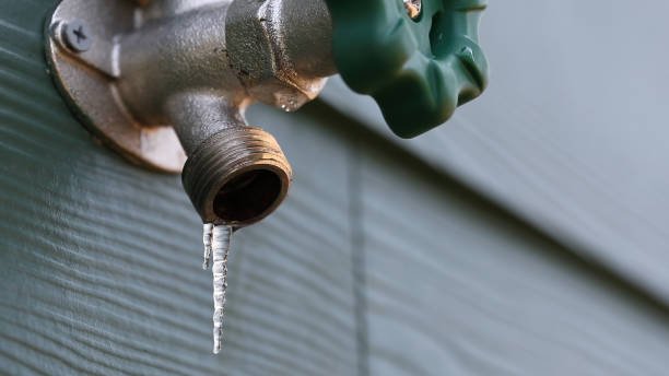 Best Shower Repair Services  in St Paul, MO